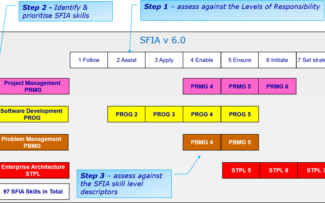Self Assessment of SFIA skills